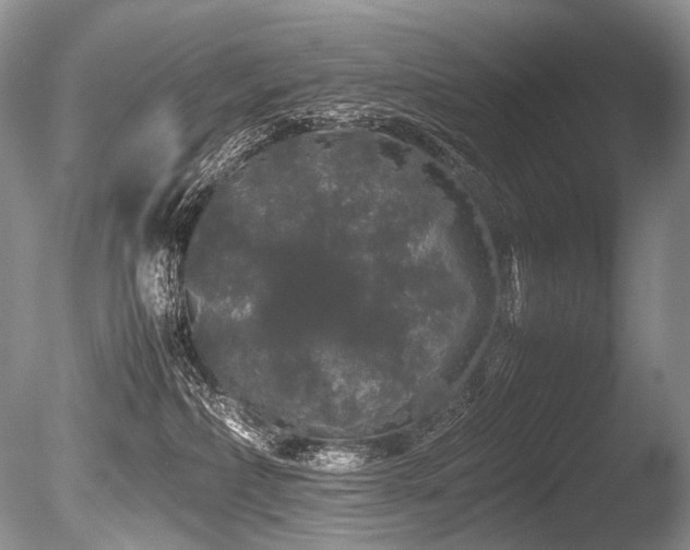 X0000086260236200703291441