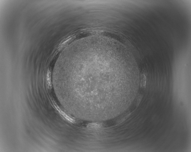 X0000086260238200703291441