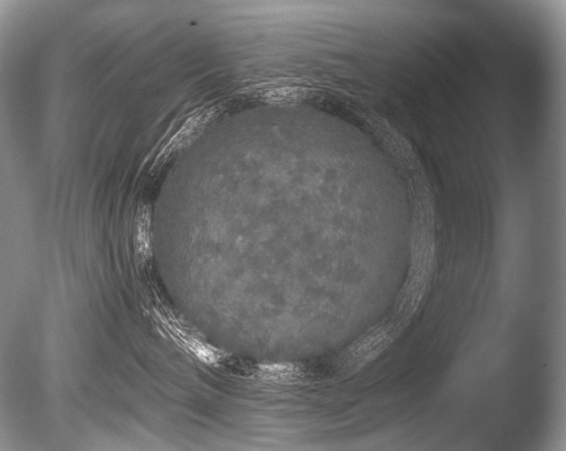 X0000086260240200703291441