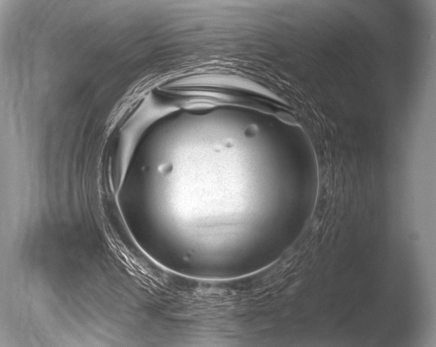 X0000086260242200703291441