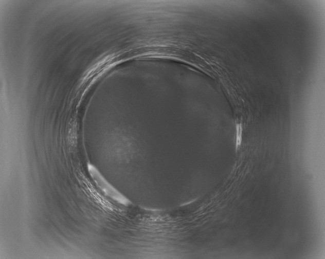 X0000086260243200703291441