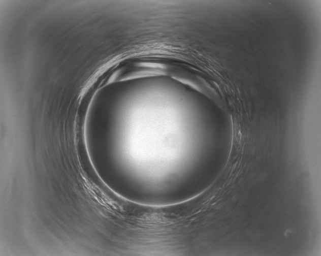 X0000086260244200703291441