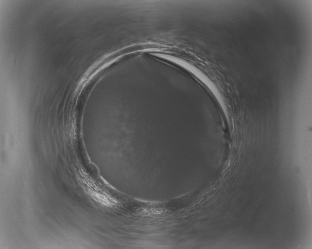X0000086260247200703291441