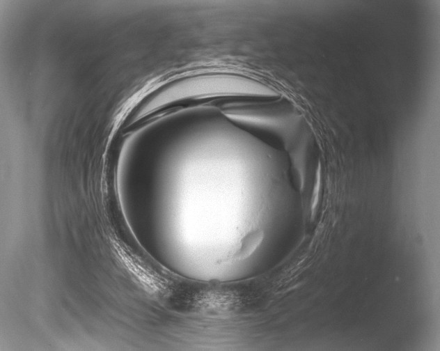 X0000086260248200703291441
