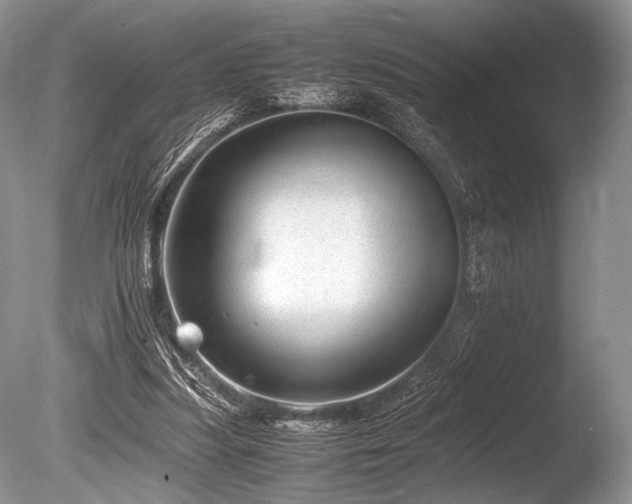 X0000086260251200703291441