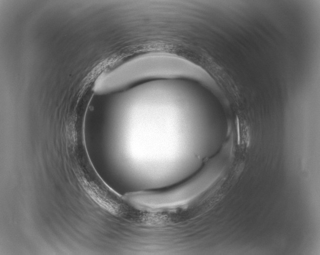 X0000086260252200703291441