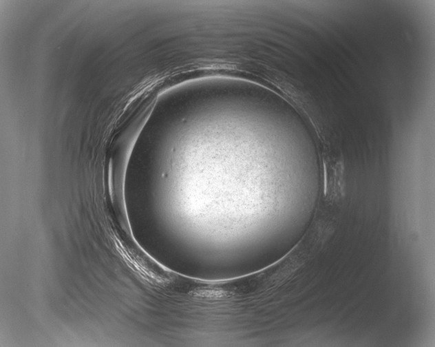 X0000086260253200703291441