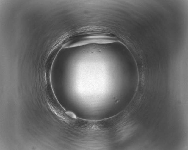 X0000086260254200703291441