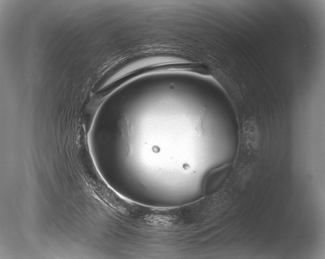 X0000086260255200703291441