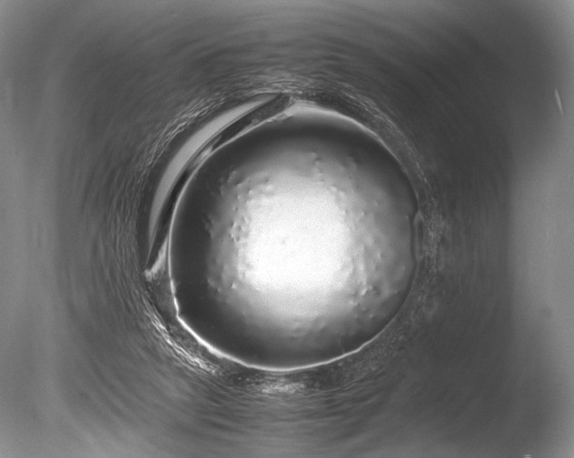 X0000086260257200703291441