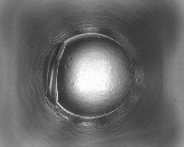 X0000086260259200703291441