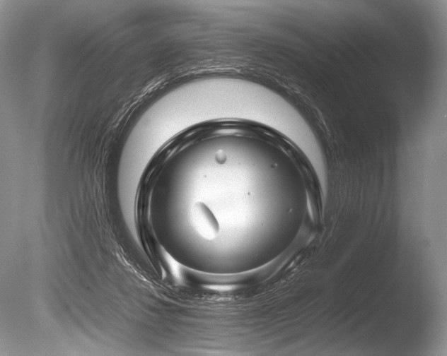 X0000086260260200703291441