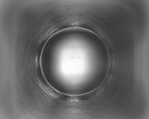 X0000086260262200703291441