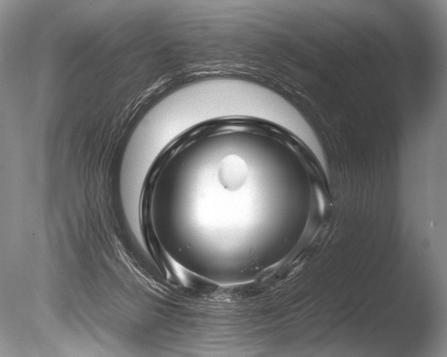 X0000086260264200703291441