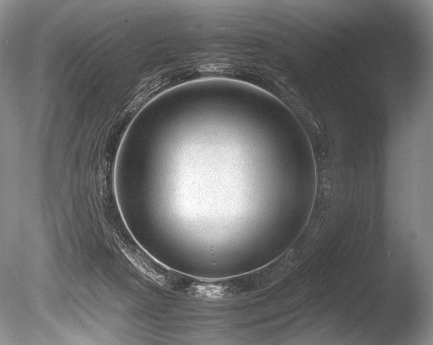 X0000086260265200703291441