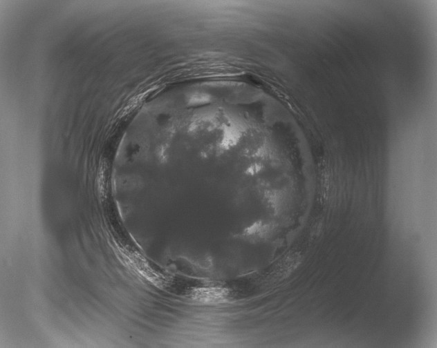 X0000086260266200703291441