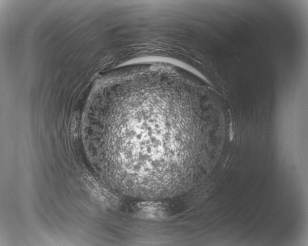 X0000086260273200703291441