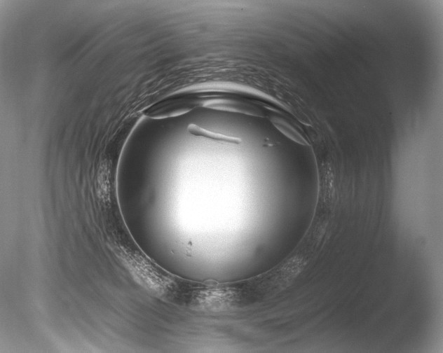 X0000086260274200703291441