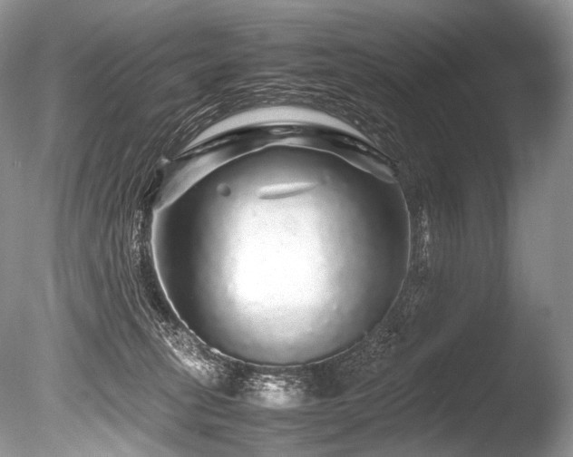 X0000086260275200703291441