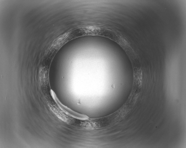 X0000086260276200703291441