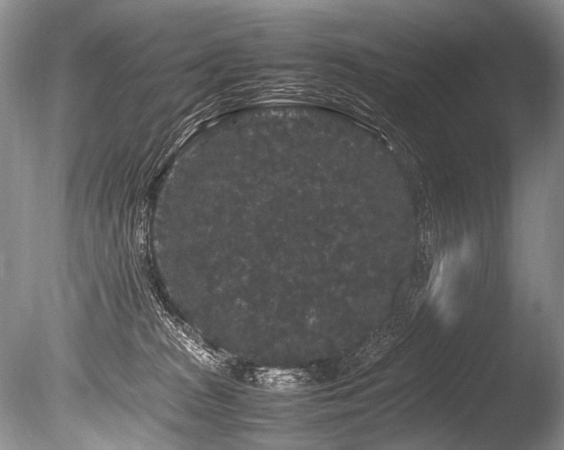 X0000086260277200703291441