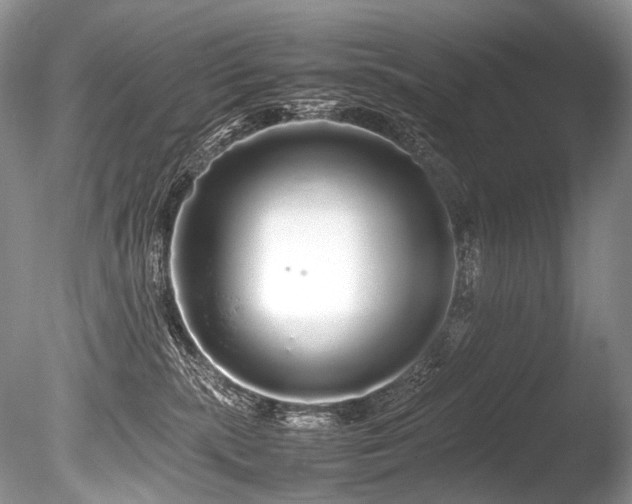 X0000086260283200703291441