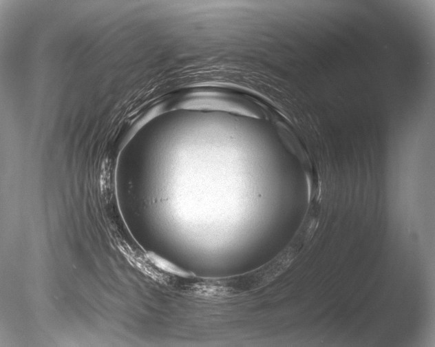 X0000086260284200703291441
