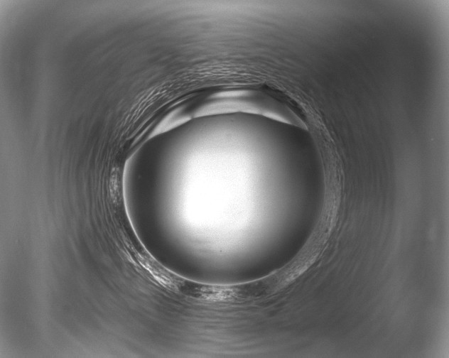 X0000086260288200703291441