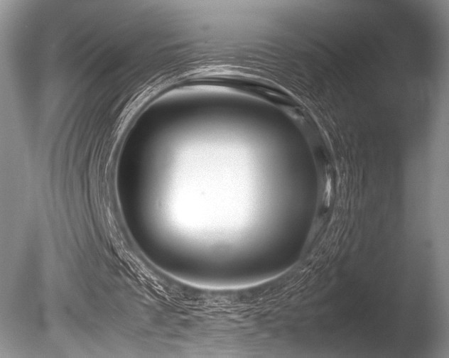 X0000086260289200703291440