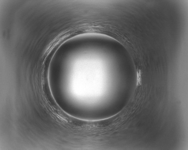 X0000086260291200703291440
