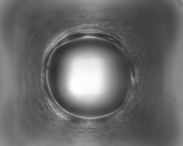 X0000086260293200703291440