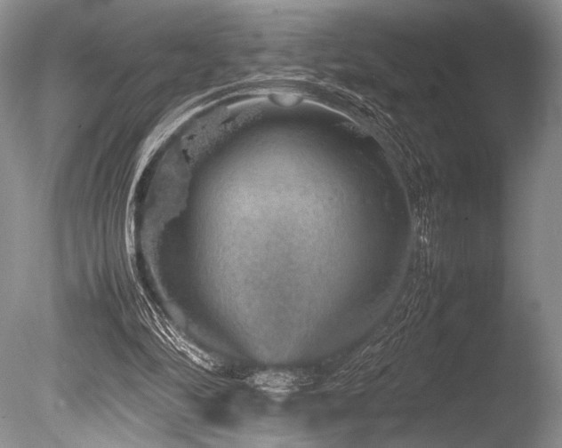 X0000086260294200703291440