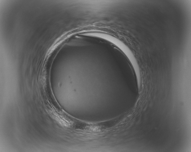 X0000086260295200703291440