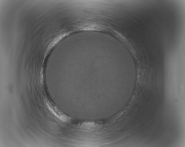 X0000086260298200703291440