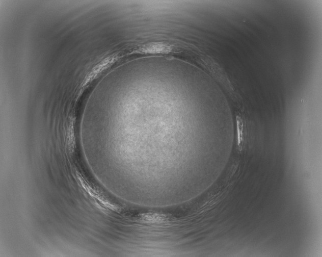 X0000086260300200703291440