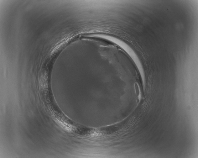 X0000086260303200703291440
