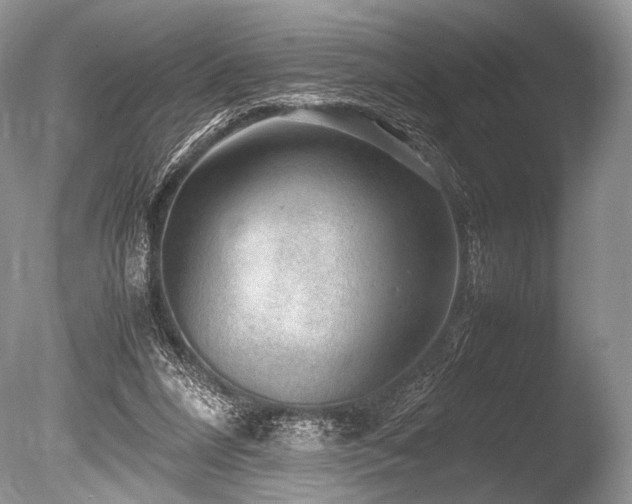 X0000086260304200703291440