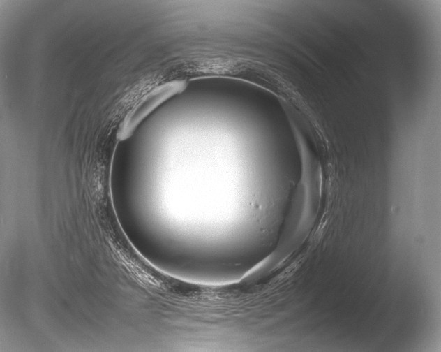 X0000086260305200703291440