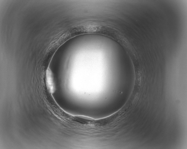 X0000086260307200703291440