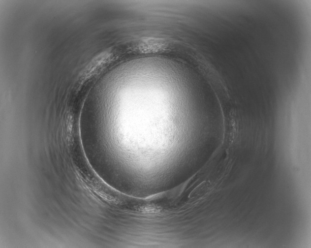 X0000086260308200703291440