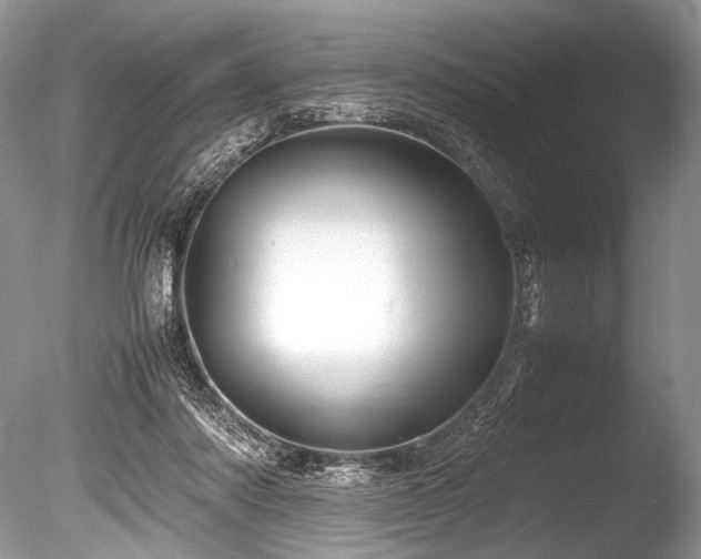 X0000086260310200703291440