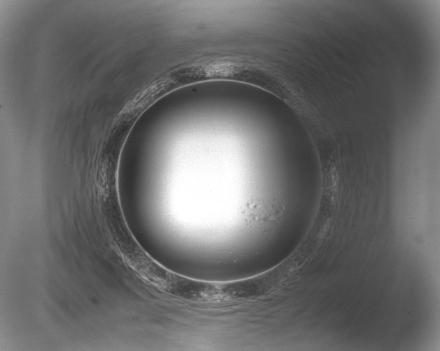 X0000086260311200703291440