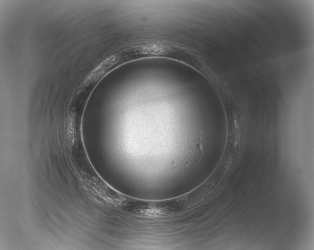 X0000086260312200703291440