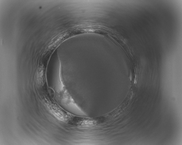 X0000086260314200703291440