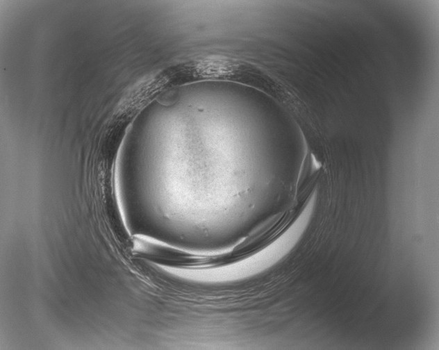X0000086260315200703291440