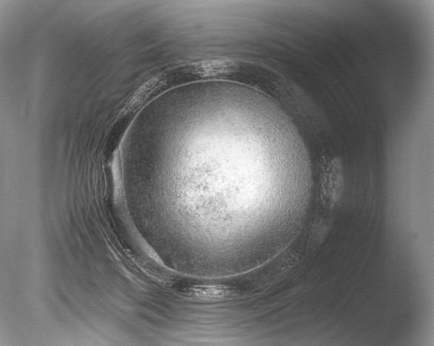 X0000086260316200703291440