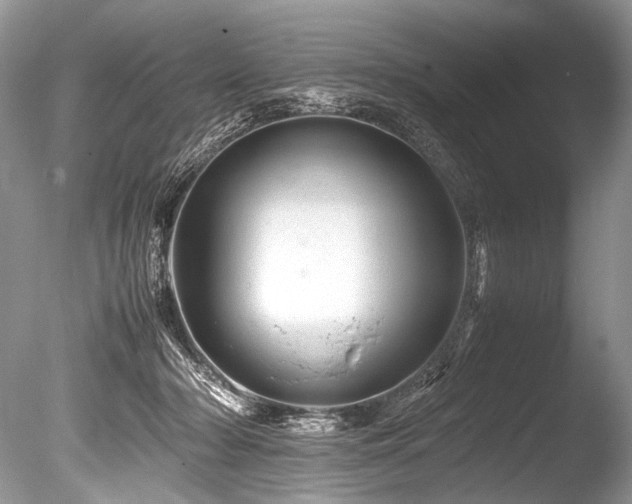 X0000086260318200703291440