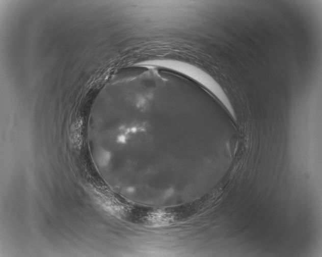 X0000086260319200703291440