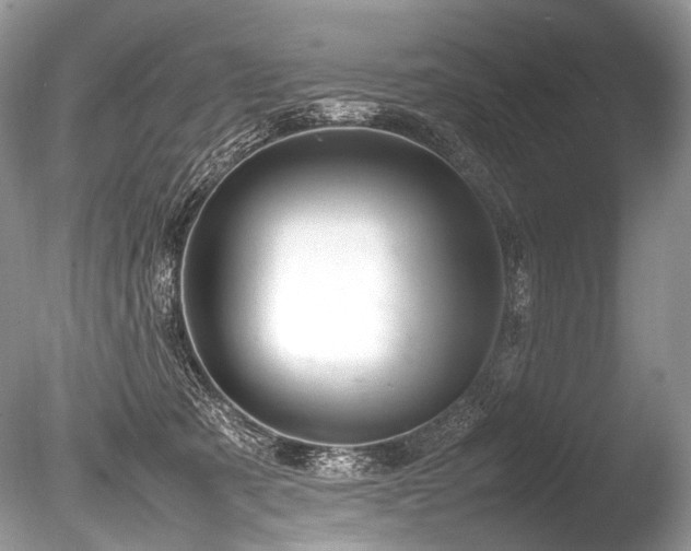 X0000086260321200703291440