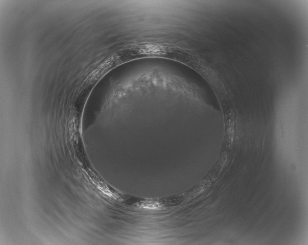 X0000086260322200703291440